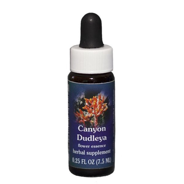 Fes Quintessentials Canyon Dudleya 7.5ml Supply