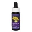 Fes Quintessentials Oregon Grape 7.5ml Fashion