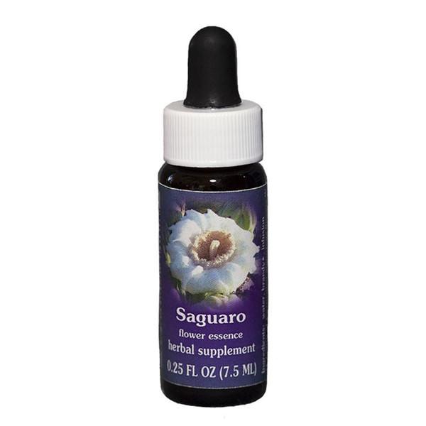 Fes Quintessentials Saguaro 7.5ml For Sale