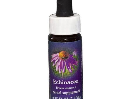 Fes Quintessentials Echinacea 7.5ml Supply