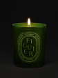 Figuier Colored Medium Candle Supply