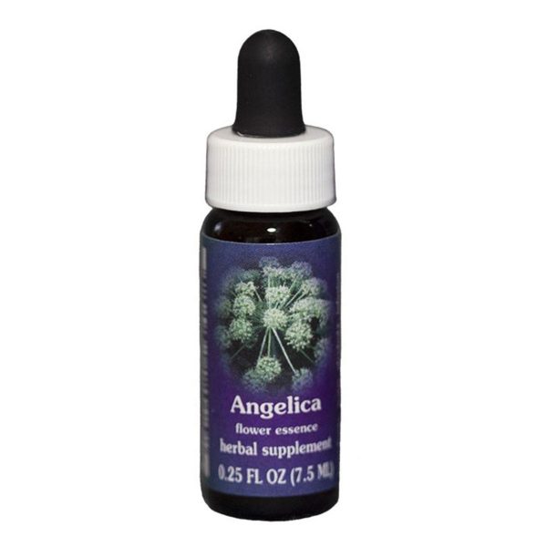 Fes Quintessentials Angelica 7.5ml on Sale