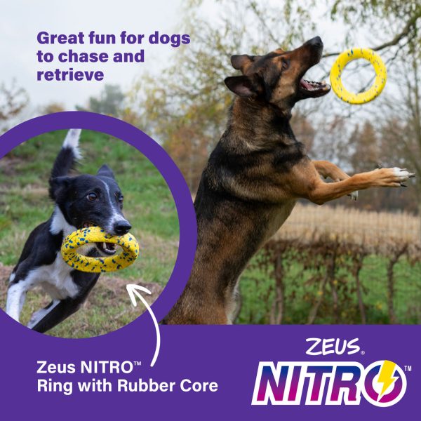 Zeus NITRO Weighted Ring Dog Toy For Sale