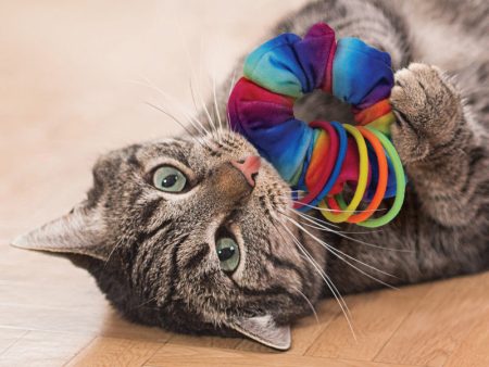 KONG Cat Active Scrunchie Sale