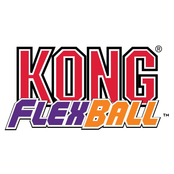 KONG Flexball Cheap