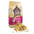 Tiny Friends Farm Gerri Gerbil Tasty Mix 850g Hot on Sale